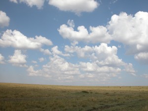 とにかく草、草、草の大平原。人工物は見当たらない。頭上には雲、雲、そして青空。真上を見上げると、目のふちに地平線をとらえながら、地球の丸さを感じることができる。この丸さ、写真やビデオで表現できないのが残念。