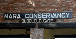 ムパタ・サファリ・クラブからクルマで40分程、マサイ・マラのオロロロ・ゲートに到着する。