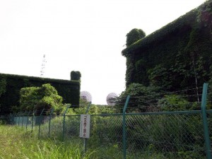 府中空軍施設跡。関東計画で日本に返還された施設のひとつである。（撮影＝bg）
